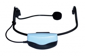 BST UDR66 ������������