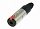 NEUTRIK NJ3FC6 ��������� ������ 1/4" TRS Jack
